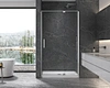 Elfin 8mm Pivot Plus Door Recessed shower Door